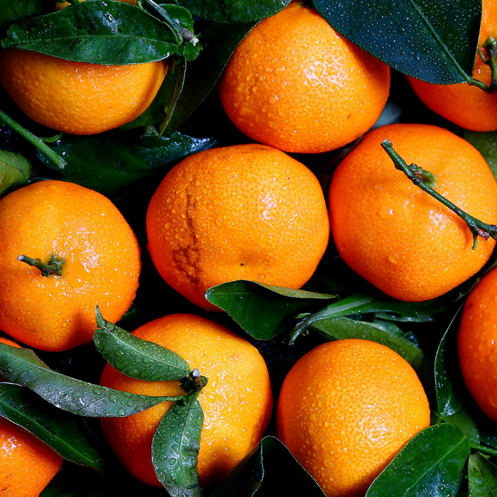 橘子工坊經銷商/ 5 in 1 洗衣金球/ 俗又大碗 4L 酵素洗衣精