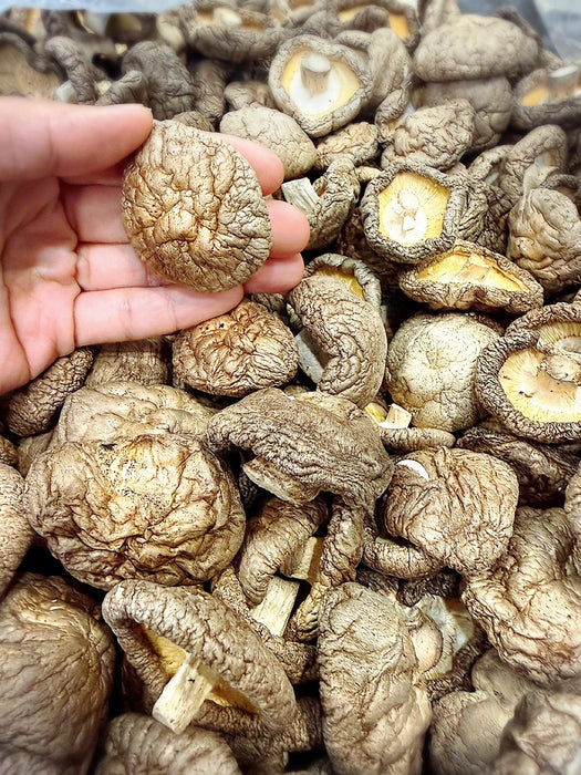 【凱莉推薦】台灣香菇 Taiwan Queen Mushroom 80g（效期2027.08）