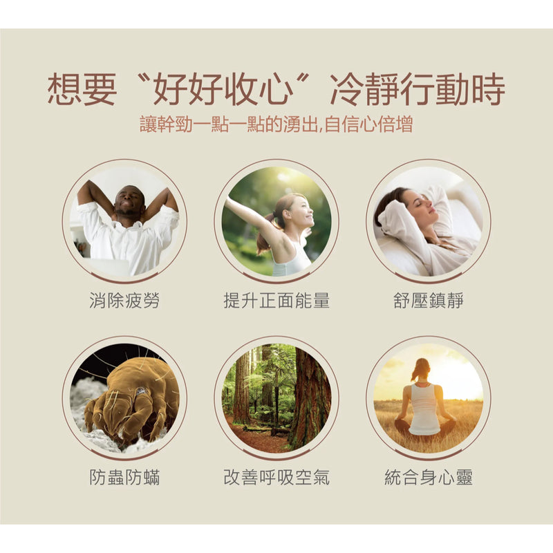 【金牌 帝寶】紓壓檜木精油滾珠瓶 Hinoki Yi Tiao Gen Essential Oil Roller 10ml