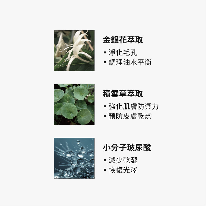 【TRUE TISANE】金銀花輕盈控油乳液 100ml