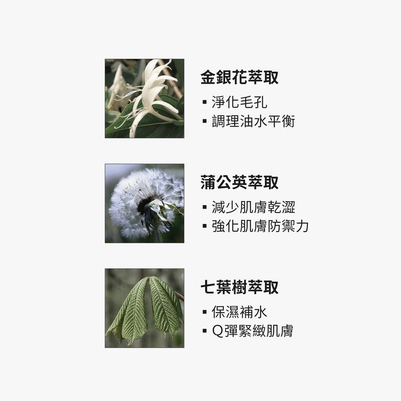 【TRUE TISANE】金銀花淨化毛孔潔面凝露