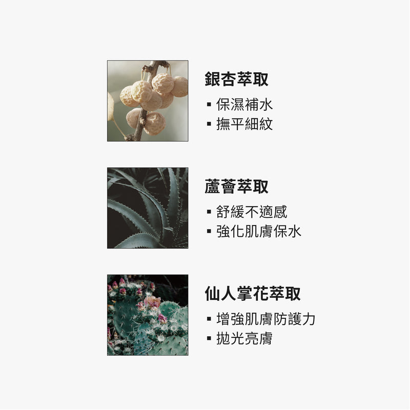【TRUE TISANE】銀杏水感保濕面膜
