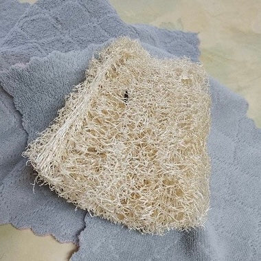 ◉ 南投國姓鄉 ◉【多福農場】手工自曬純天然菜瓜布 ◉【塊狀．剖半】Ｂ級 長 11-14cm x 寬 9cm以上