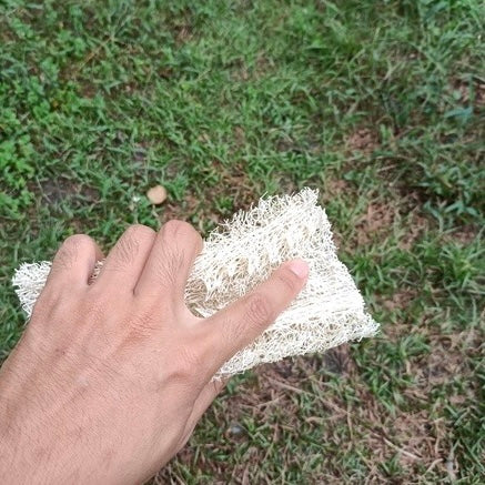◉ 南投國姓鄉 ◉【多福農場】手工自曬純天然菜瓜布 ◉【片狀 2.0】長型 長 15-18cm x 寬 8-10cm x 高 1-1.5cm
