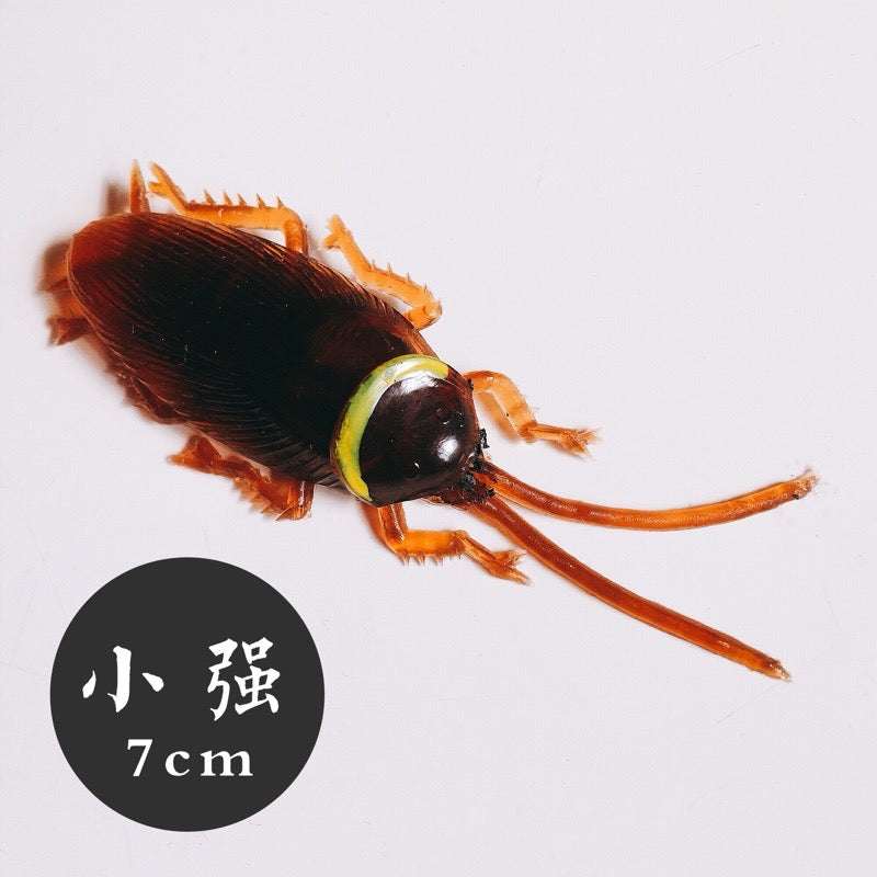 ◉ 那些年在家最怕看到的小動物 ◉ 仿真整人玩具【台灣囝仔 】超逼真‼️ 蟑螂 ◉