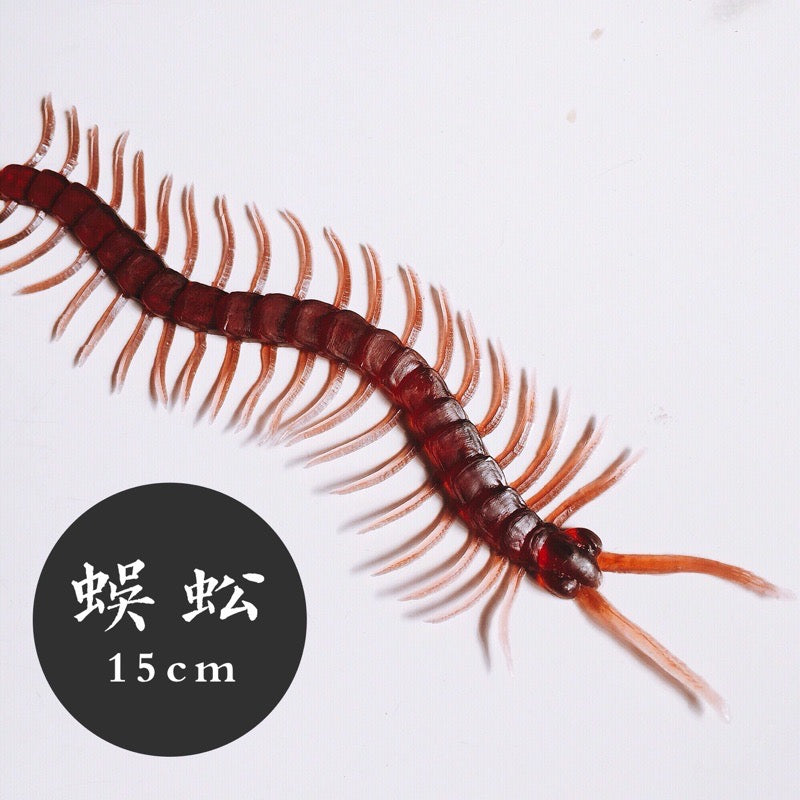 ◉ 那些年在家最怕看到的小動物 ◉ 仿真整人玩具【台灣囝仔 】超逼真‼️ 蜈蚣 ◉