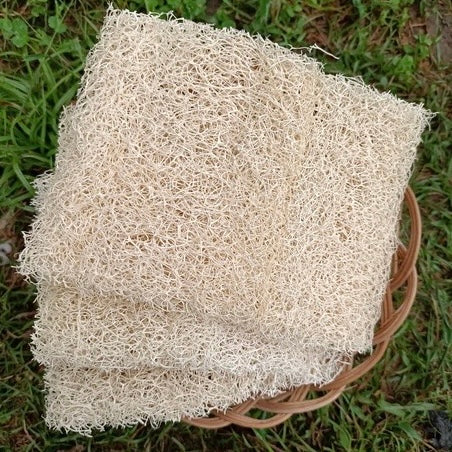 ◉ 南投國姓鄉 ◉【多福農場】手工自曬純天然菜瓜布 ◉【片狀 2.0】扁型 長 12-14cm x 寬 10-11cm x 高 1-1.5cm