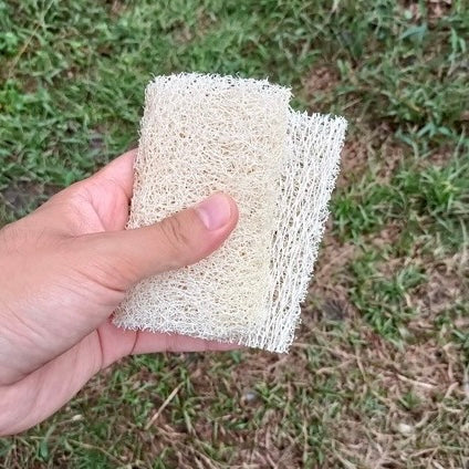 ◉ 南投國姓鄉 ◉【多福農場】手工自曬純天然菜瓜布 ◉【片狀 2.0】扁型 長 12-14cm x 寬 10-11cm x 高 1-1.5cm